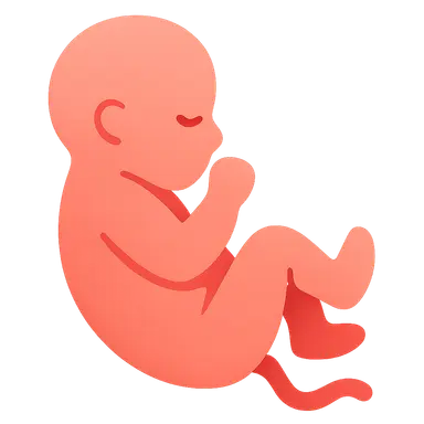 Episiotomy and Repair