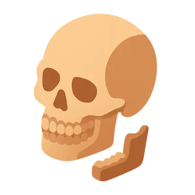 Dental Identification in Mass Disasters