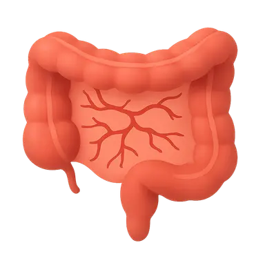 Vascular disorders of bowel