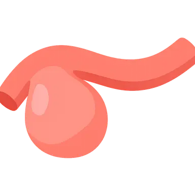 Coronary artery aneurysms