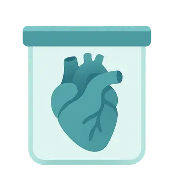 Organ Retention and Disposal