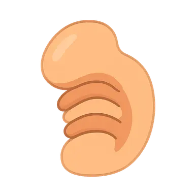 Pharyngeal membrane derivatives