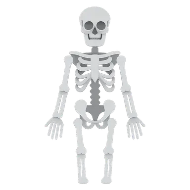 Skeletal System