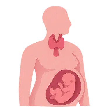 Thyroid Disorders in Pregnancy