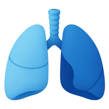 Static vs dynamic compliance