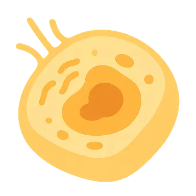 Cellular Responses to Stress