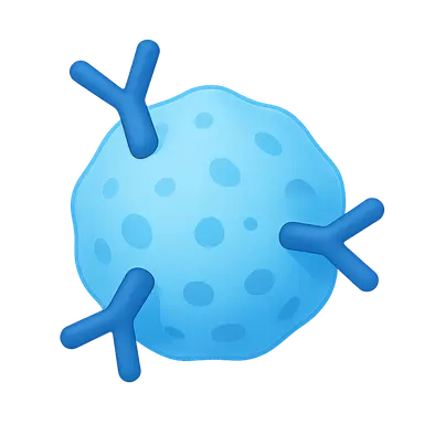 T-cell depleting antibodies
