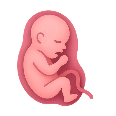 Antenatal Complications Management