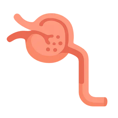 GFR in pathophysiological states