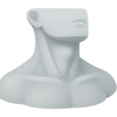 Surface Anatomy of the Neck