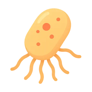 Multi-drug resistant organism transmission