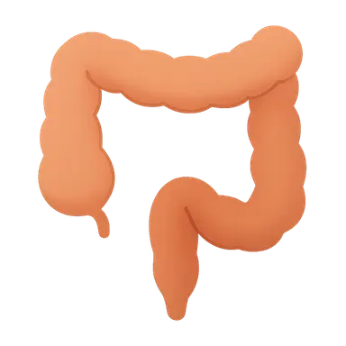 Intestinal Obstruction