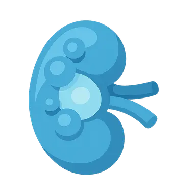 Renal cystic diseases