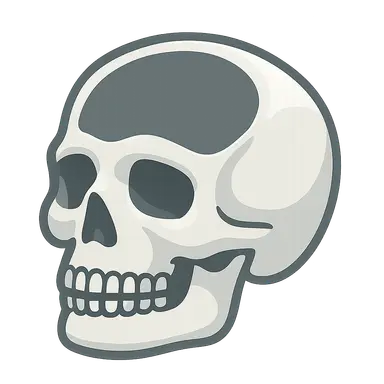 Skull and cranial cavity