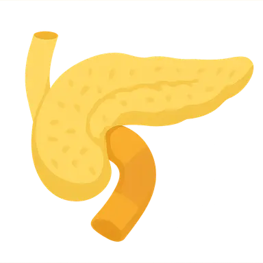 Congenital Anomalies of Pancreas