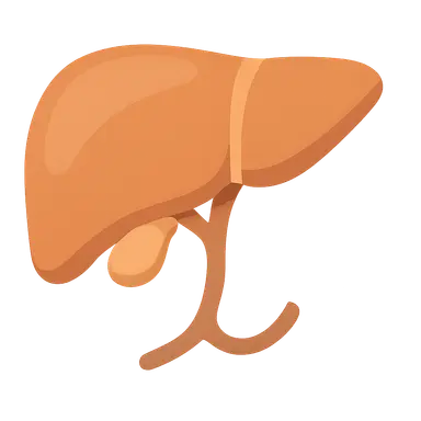 Hepatobiliary surgery basics