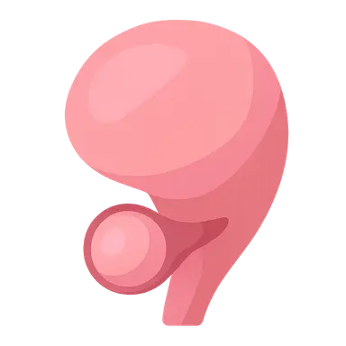 Preterm labor management