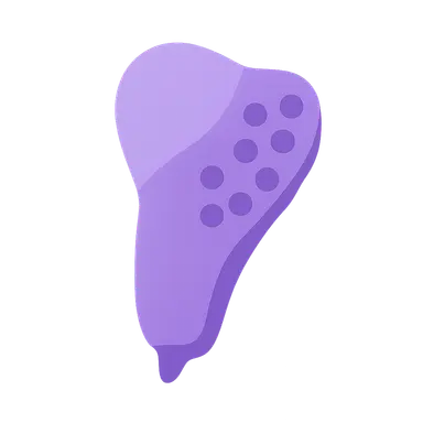 Medulla oblongata nuclei