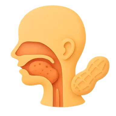 Food Allergies and the Upper Aerodigestive Tract