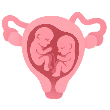 Multiple gestation management