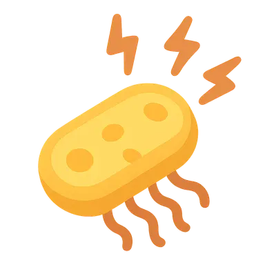 Bacterial Stress Responses