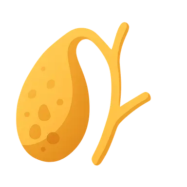 Gallbladder and biliary tract disorders