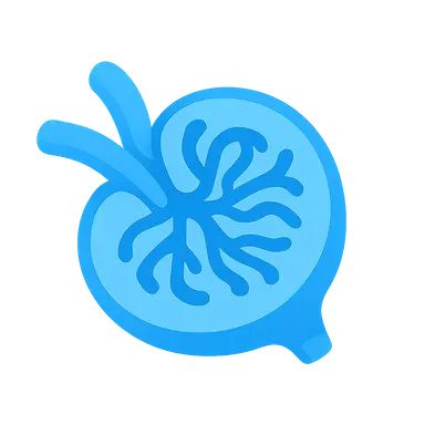 Primary glomerular diseases