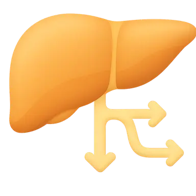 Phase II Conjugation Reactions