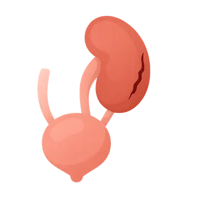 Genitourinary Trauma