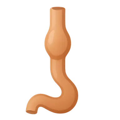 Esophageal Disorders