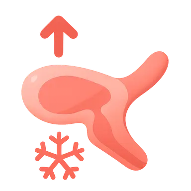 Hypothalamic thermoregulation