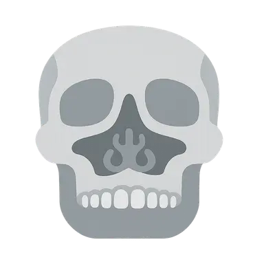 Anterior Skull Base Approaches