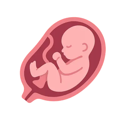 Fetal Growth Assessment