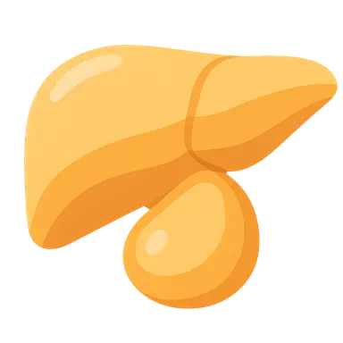 Ascites diagnosis and management