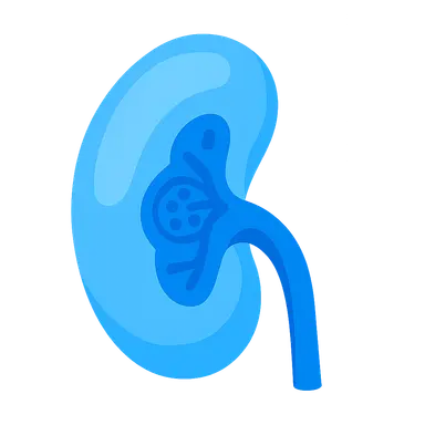 Nephritic syndrome disorders