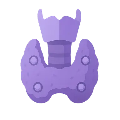 Thyroid and Parathyroid Glands