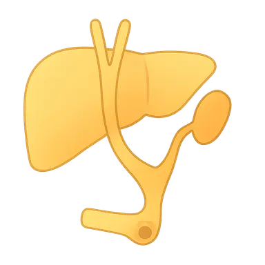 Biliary atresia and Kasai procedure