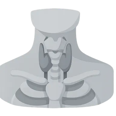 Deep Structures of the Neck