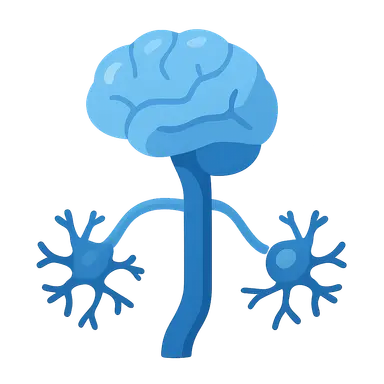 Autonomic Nervous System