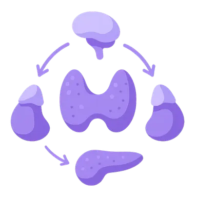 Regulation of thyroid function