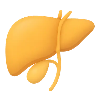 Hepatobiliary Physiology