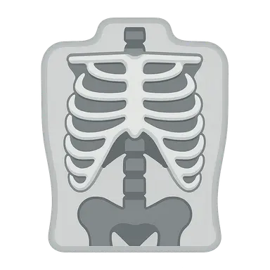 Radiographic Anatomy