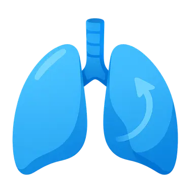Pulmonary Ventilation