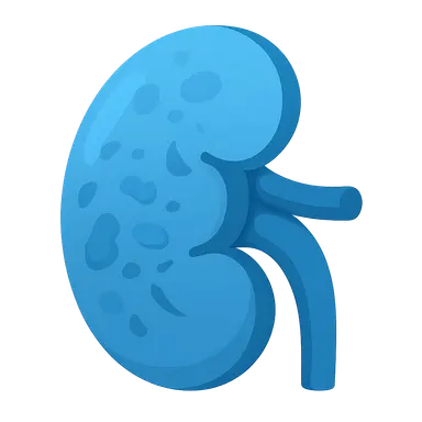 Tubulointerstitial diseases