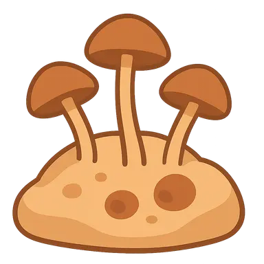 Opportunistic Fungal Infections