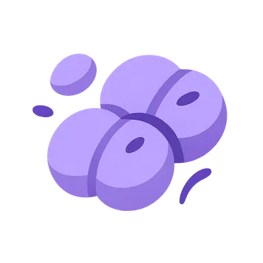 Meningococcal disease