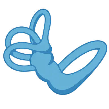 Physiology of Balance