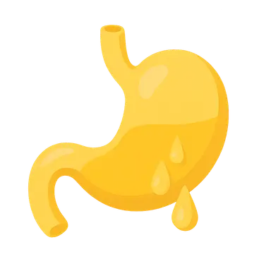 Gastrointestinal Secretions