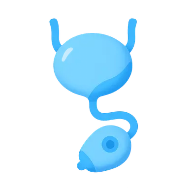 Urinary diversion procedures