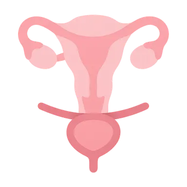 Stress urinary incontinence procedures